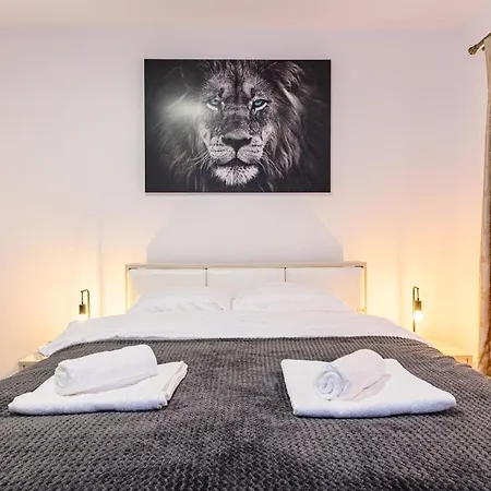 Апартаменты Casa Aurora 4 Брашов