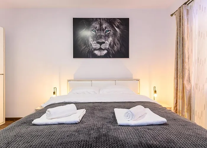 Apartment Casa Aurora 4 Brasov